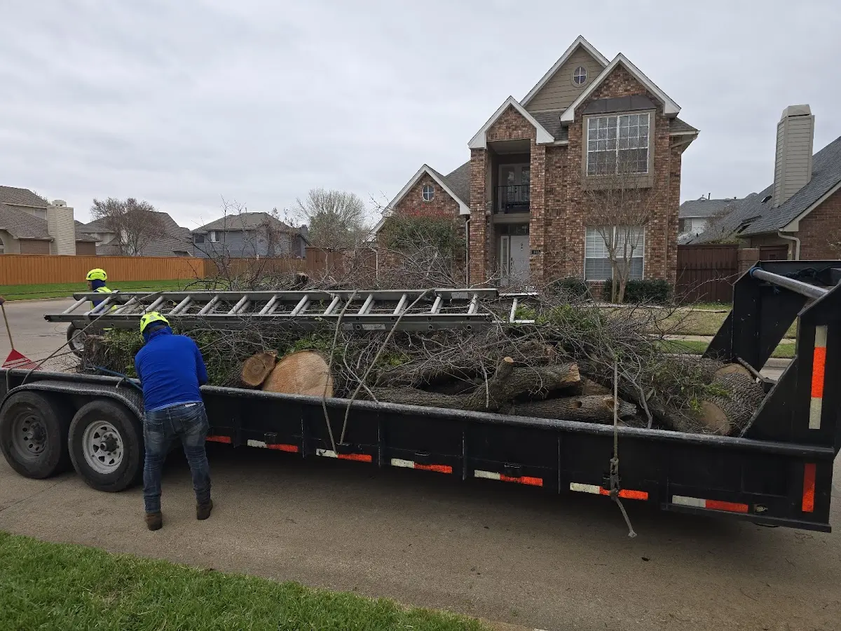 Expert Tree Fertilization with proper safety equipment in Berkeley